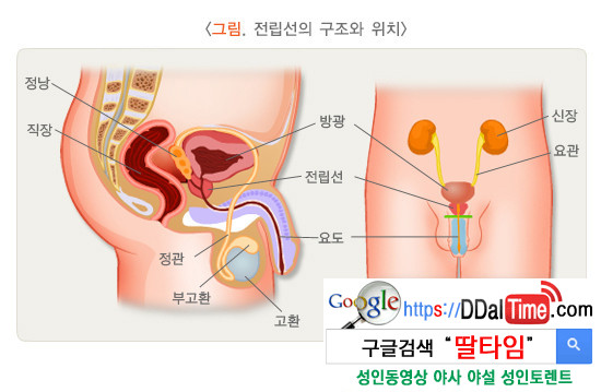 여자필독 * 남자를 KO 시키는 성감대 애무법 이미지 #2
